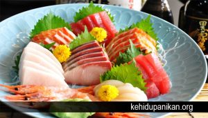 Jangan Sembarang Makan Sashimi Walau Menyehatkan